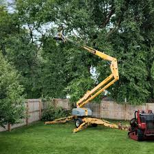 Best Seasonal Cleanup (Spring/Fall)  in Royal Kunia, HI