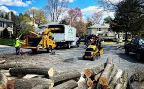 Best Lot and Land Clearing  in Royal Kunia, HI