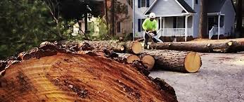 Best Soil Testing and Treatment  in Royal Kunia, HI