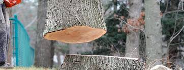 Best Firewood Processing and Delivery  in Royal Kunia, HI