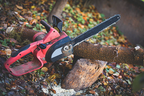 Best Tree Trimming and Pruning  in Royal Kunia, HI